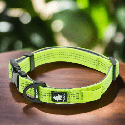 Collier-pour-chien-reflechissant-couleur-vert-jaune
