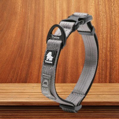 Collier-pour-chien-reflechissant-gris