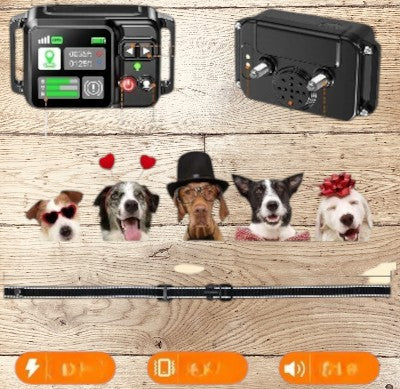 Collier-GPS-chien-sans-fil-chiens-differents