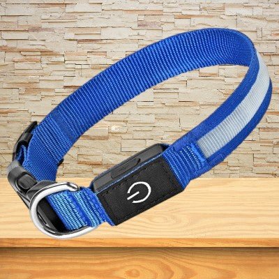 Collier chien lumineux - LED sécurité nocturne-bleu-couleur