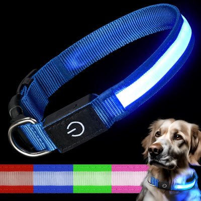 Collier chien lumineux - LED sécurité nocturne-bleu