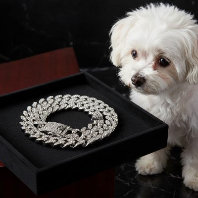 Collier pour chien - chaine-Chaîne argent - plateau velours
