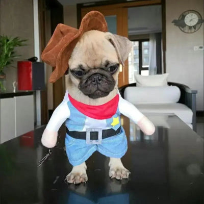 Costume-chien-cowboy-pug-sur-table