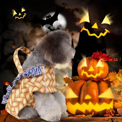 Costume-chien-panier-pique-nique-chien-halloween