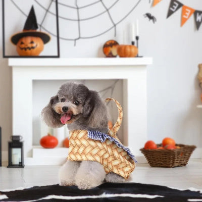 Costume-chien-panier-pique-nique-chien-heureux-attends-salon
