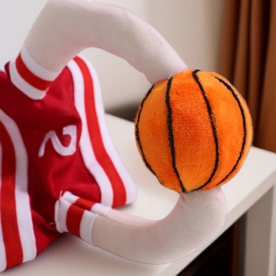 Costume-pour-chien-basket-ball-demo-vu-enbas