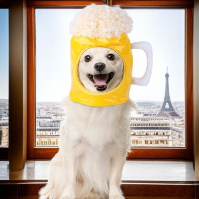 Costume-pour-chien-chope-de-biere-chien-deguiser-pres-dune-fenetre-tour-eiffel