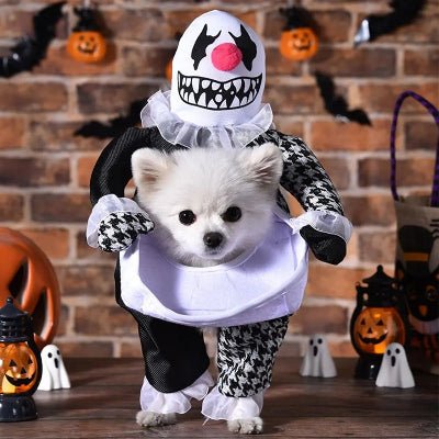 Costume pour chien - clown - au royaume des chiens
