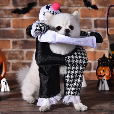 Costume pour chien - clown - au royaume des chiens