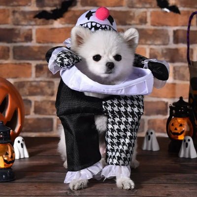 Costume pour chien - clown - au royaume des chiens