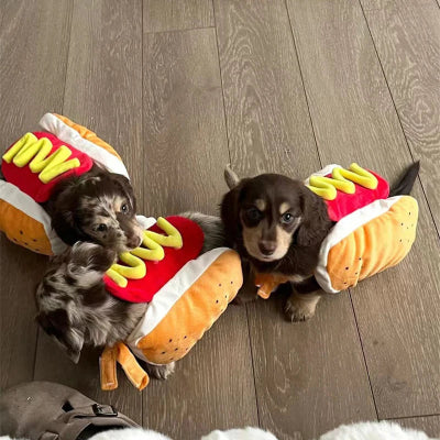 Costume-pour-chien-hot-dog-trois-chiens-deguiser