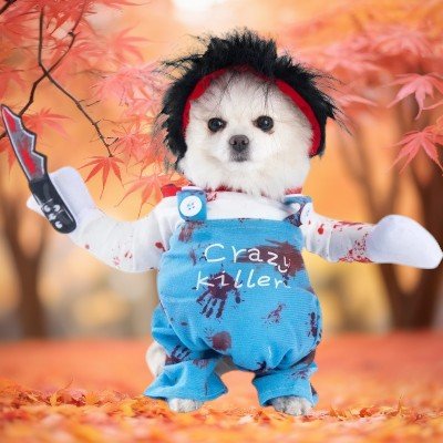Costume pour chien chucky - Halloween effrayant fun-perruque-noir