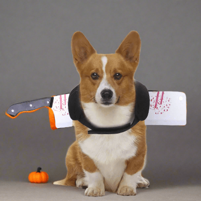 Costumes pour chiens - tache de sang - au royaume des chiens
