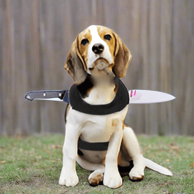 Costumes pour chiens - tache de sang - au royaume des chiens