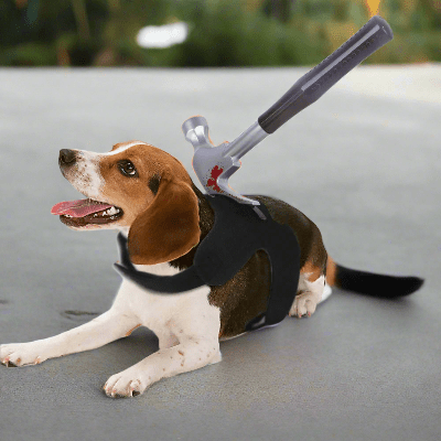 Costumes pour chiens - tache de sang - au royaume des chiens