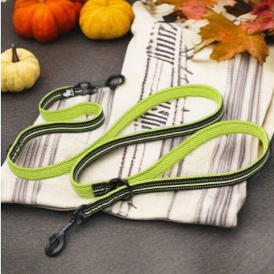 Double-Laisse-pour-chien-multi-usages-jaune