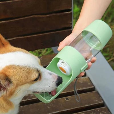 Gourde-chien_bol_pour_manger-chien-boit-couleur-vert