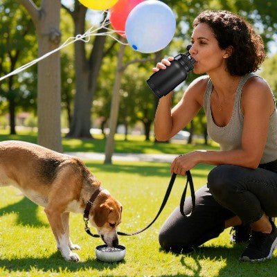 Gourde pour chien 3 - en - 1 avec 2 bols - Portable en acier inoxydable - au royaume des chiens