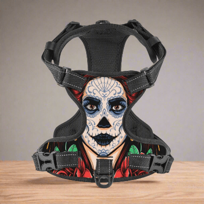 Harnais Y - clown - au royaume des chiens