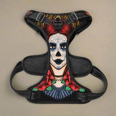 Harnais Y - clown - au royaume des chiens