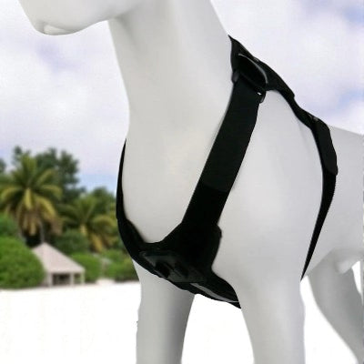 Harnais-Y-support-camera-confortable