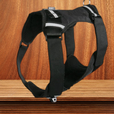 Harnais-Y-support-camera-demo