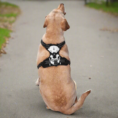 Harnais-Y-tête-squelette-chien-portant-dans-parc