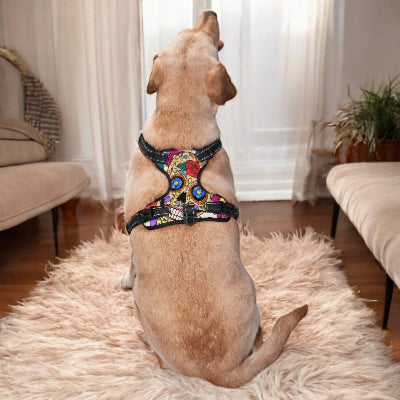 Harnais-Y-tete-squelette-fleurs-chien-porte-harnais-assis-tapis