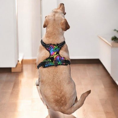Harnais-en-Y-Psychedelique-chien-portant-sans-laisse-regarde-devant