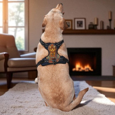 Harnais-en-Y-dieu-egyptien-chien-heureux