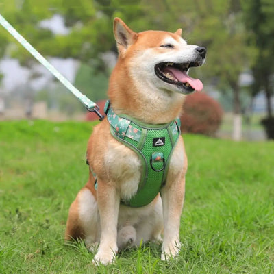 Harnais-en-Y-moyen-a-grand-chien-heureux-parc
