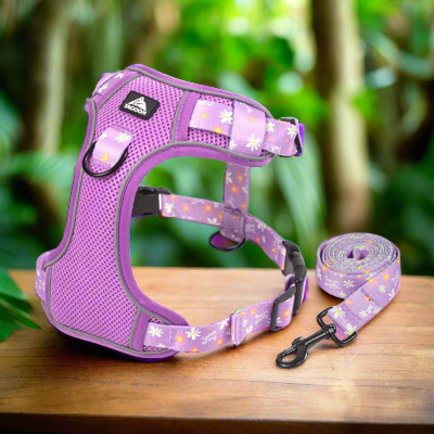 Harnais-en-Y-moyen-a-grand-chien-mauve