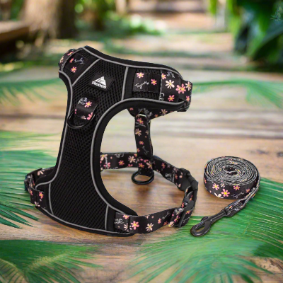 Harnais-en-Y-moyen-a-grand-chien-noir