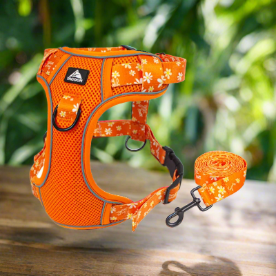 Harnais-en-Y-moyen-a-grand-chien-orange