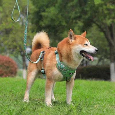 Harnais-en-Y-moyen-a-grand-chien-portant-harnais-vert