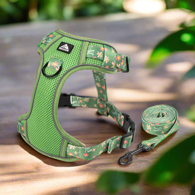 Harnais-en-Y-moyen-a-grand-chien-vert