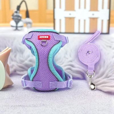 Harnais-en-Y-petit-chien-mauves