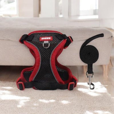 Harnais-en-Y-petit-chien-noir-demo