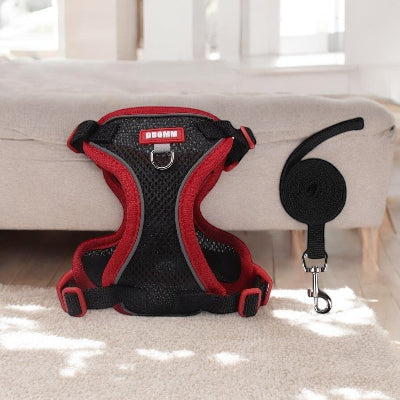 Harnais-en-Y-petit-chien-noirs