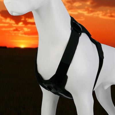 Harnais-en-Y-support-camera-sans-support