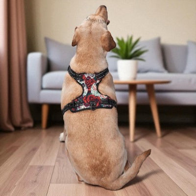Harnais-en-Y-tete-squelette-et-rose-chien-regarde-devant-sans-laisse