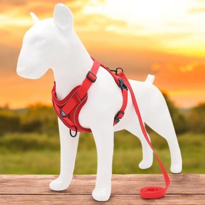 Harnais pour chien- petit chien -rouge