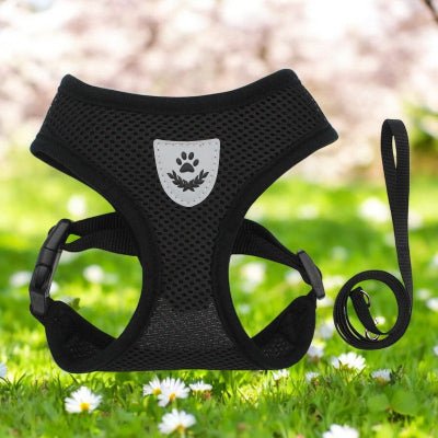 Harnais pour chien - Sécurite et Confort - au royaume des chiens