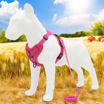 Harnais pour chien - petit chien - couleur-rose