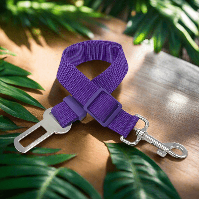 Harnais-pour-chien-voiture-mauve