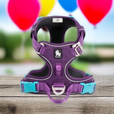 Harnais_chien_-_sans_traction_en_nylon_reflechissant-mauve-et-bleu