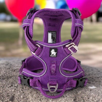 Harnais_chien_-_sans_traction_en_nylon_reflechissant-mauve