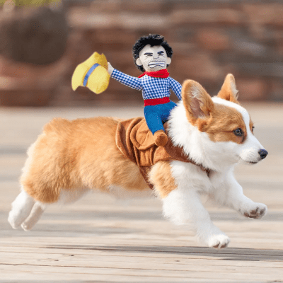 Harnais_pour_Chien_Cowboy_-_Style_Western_Confortable-petit-chien_rodeo