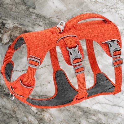 Harnais pour Chien Léger - Respirant Confort Promenade-orange