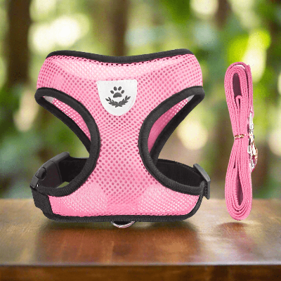 Harnais-pour-chien-petit-laisse-rose